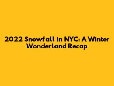 2022 Snowfall in NYC: A Winter Wonderland Recap