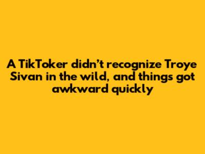 A TikToker didn’t recognize Troye Sivan in the wild, and things got awkward quickly