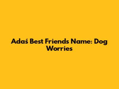 Adaś' Best Friend's Name: Dog Worries