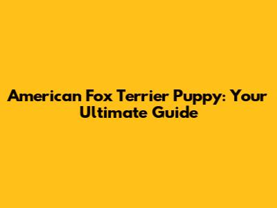 American Fox Terrier Puppy: Your Ultimate Guide