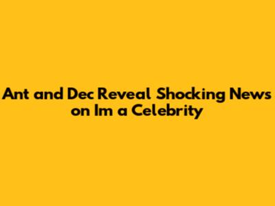 Ant and Dec Reveal Shocking News on 'I'm a Celebrity'