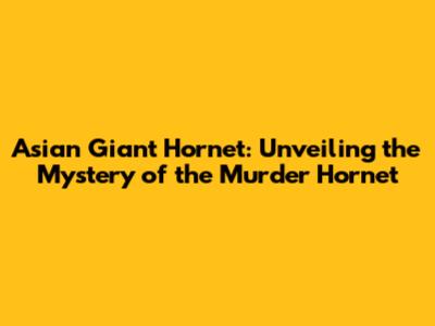 Asian Giant Hornet: Unveiling the Mystery of the 'Murder Hornet'