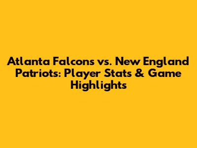 Atlanta Falcons vs. New England Patriots: Player Stats & Game Highlights