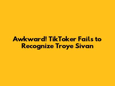 Awkward! TikToker Fails to Recognize Troye Sivan