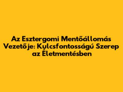 Az Esztergomi Mentőállomás Vezetője: Kulcsfontosságú Szerep az Életmentésben