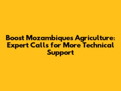 Boost Mozambique's Agriculture: Expert Calls for More Technical Support
