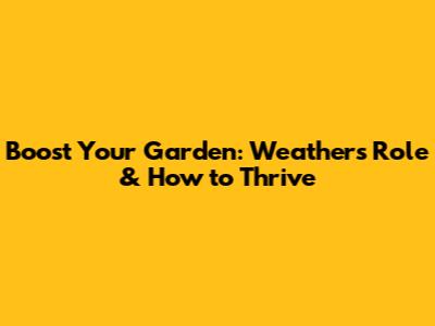 Boost Your Garden: Weather's Role & How to Thrive