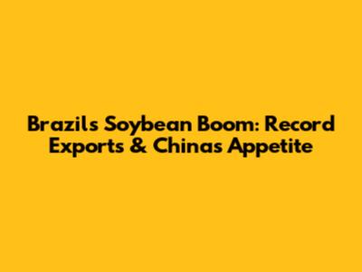 Brazil's Soybean Boom: Record Exports & China's Appetite