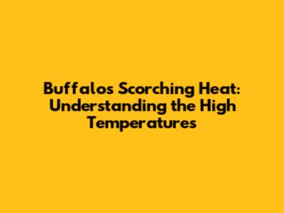 Buffalo's Scorching Heat: Understanding the High Temperatures