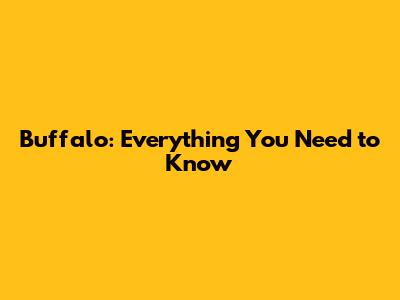 Buffalo: Everything You Need to Know