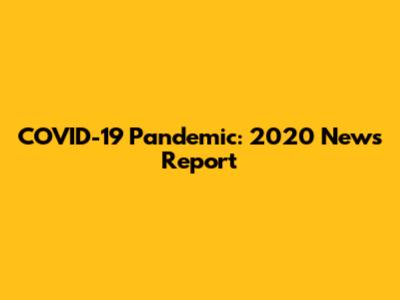 COVID-19 Pandemic: 2020 News Report
