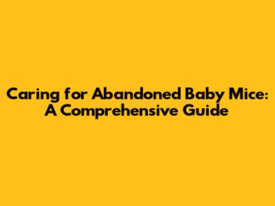 Caring for Abandoned Baby Mice: A Comprehensive Guide