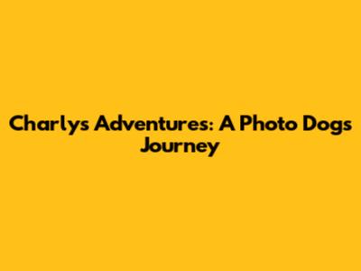 Charly's Adventures: A Photo Dog's Journey