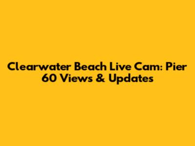 Clearwater Beach Live Cam: Pier 60 Views & Updates
