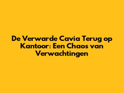 De Verwarde Cavia Terug op Kantoor: Een Chaos van Verwachtingen