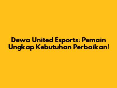 Dewa United Esports: Pemain Ungkap Kebutuhan Perbaikan!
