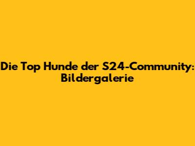 Die Top Hunde der S24-Community: Bildergalerie