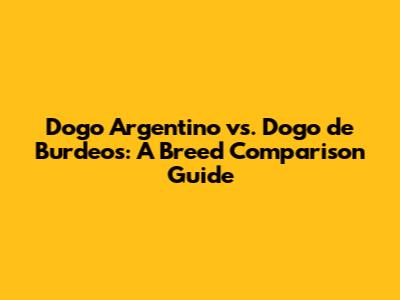 Dogo Argentino vs. Dogo de Burdeos: A Breed Comparison Guide