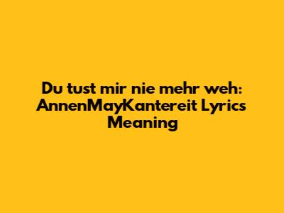 Du tust mir nie mehr weh: AnnenMayKantereit Lyrics Meaning