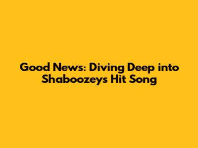 Good News: Diving Deep into Shaboozey's Hit Song
