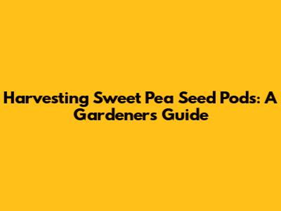 Harvesting Sweet Pea Seed Pods: A Gardener's Guide