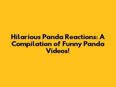 Hilarious Panda Reactions: A Compilation of Funny Panda Videos!