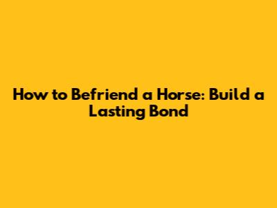 How to Befriend a Horse: Build a Lasting Bond