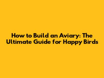 How to Build an Aviary: The Ultimate Guide for Happy Birds