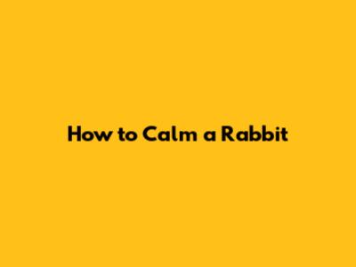 How to Calm a Rabbit