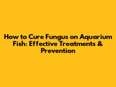 How to Cure Fungus on Aquarium Fish: Effective Treatments & Prevention