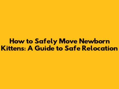 How to Safely Move Newborn Kittens: A Guide to Safe Relocation