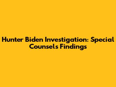Hunter Biden Investigation: Special Counsel's Findings