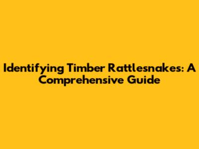Identifying Timber Rattlesnakes: A Comprehensive Guide