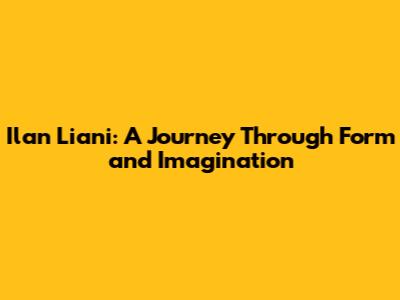 Ilan Liani: A Journey Through Form and Imagination