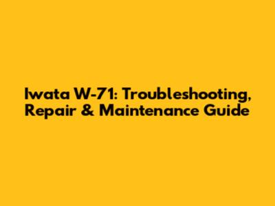 Iwata W-71: Troubleshooting, Repair & Maintenance Guide