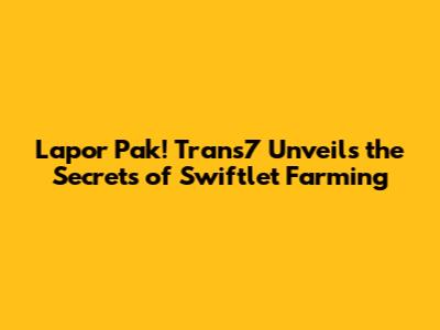 Lapor Pak! Trans7 Unveils the Secrets of Swiftlet Farming