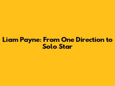 Liam Payne: From One Direction to Solo Star