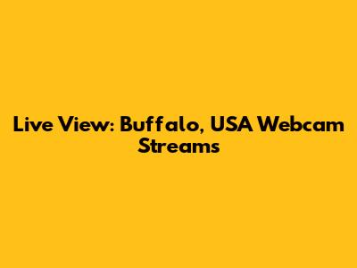 Live View: Buffalo, USA Webcam Streams