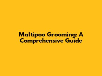 Maltipoo Grooming: A Comprehensive Guide