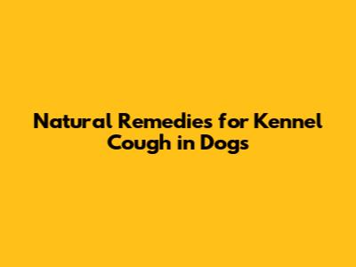Natural Remedies for Kennel Cough in Dogs