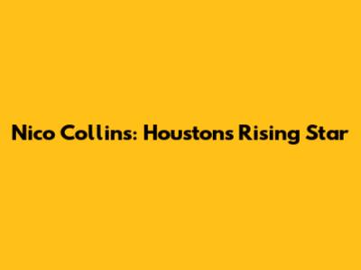Nico Collins: Houston's Rising Star