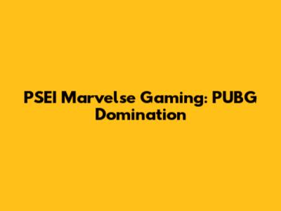 PSEI Marvelse Gaming: PUBG Domination