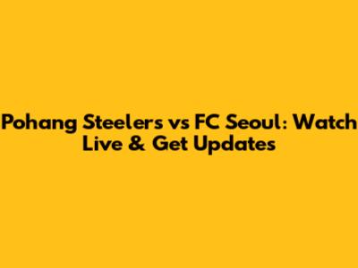 Pohang Steelers vs FC Seoul: Watch Live & Get Updates