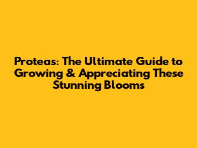 Proteas: The Ultimate Guide to Growing & Appreciating These Stunning Blooms