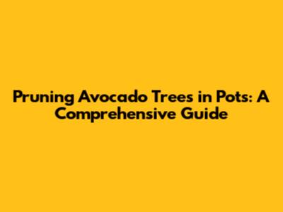 Pruning Avocado Trees in Pots: A Comprehensive Guide