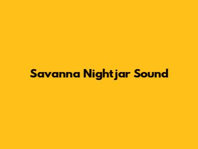 Savanna Nightjar Sound