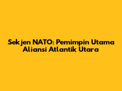 Sekjen NATO: Pemimpin Utama Aliansi Atlantik Utara