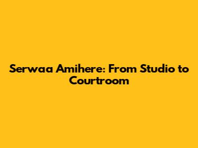 Serwaa Amihere: From Studio to Courtroom