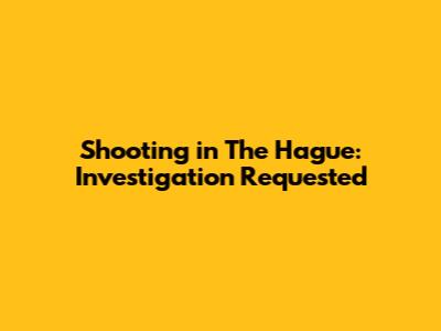 Shooting in The Hague: Investigation Requested