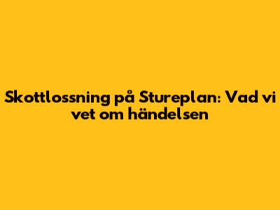 Skottlossning på Stureplan: Vad vi vet om händelsen